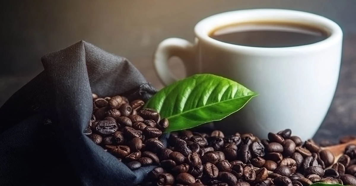 Tea & Coffee Shop 2 Tea & Coffee Shop -Tea & Coffee Shop 368