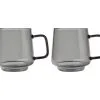 Blend Sala Glass Mug 400ML Set Of 2 Charcoal Gift Boxed