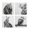 Marini Ferlazzo Animals Of Australia Cork Back Coaster 10.5cm Set Of 4 Gift Boxed